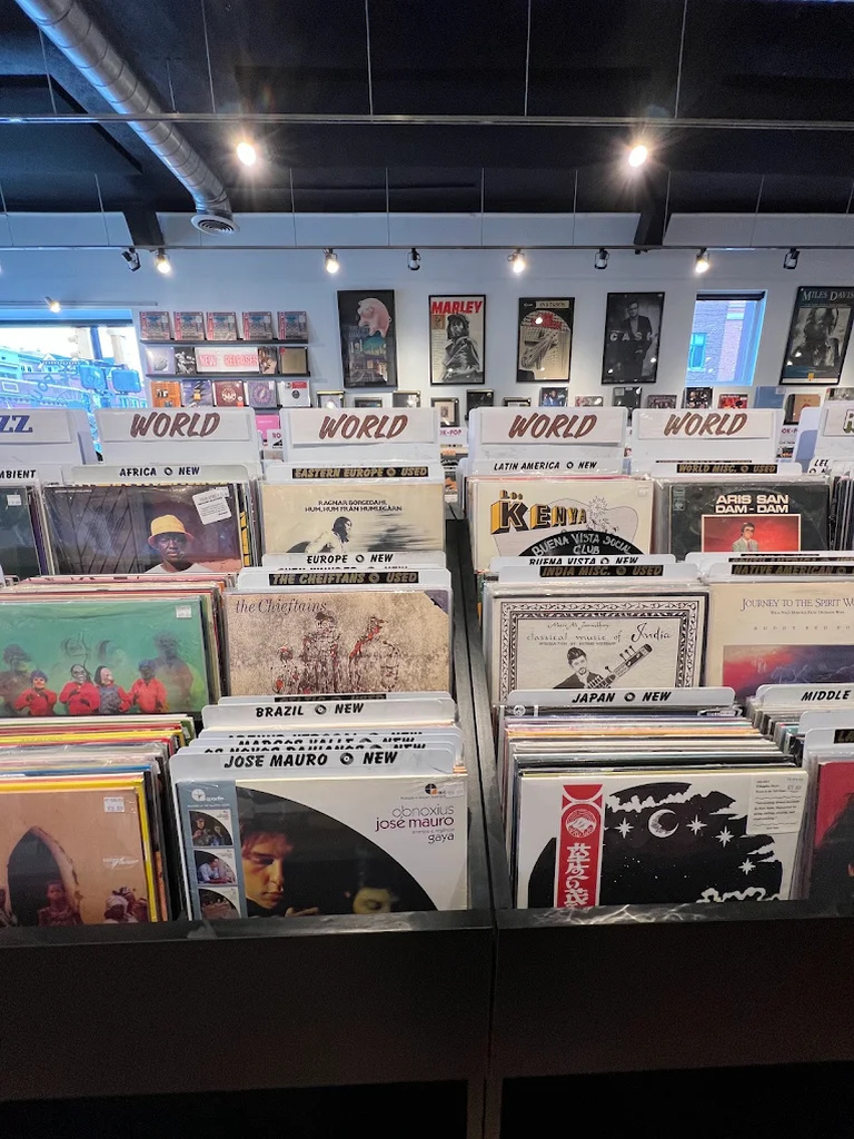 Record display at Paradise Found