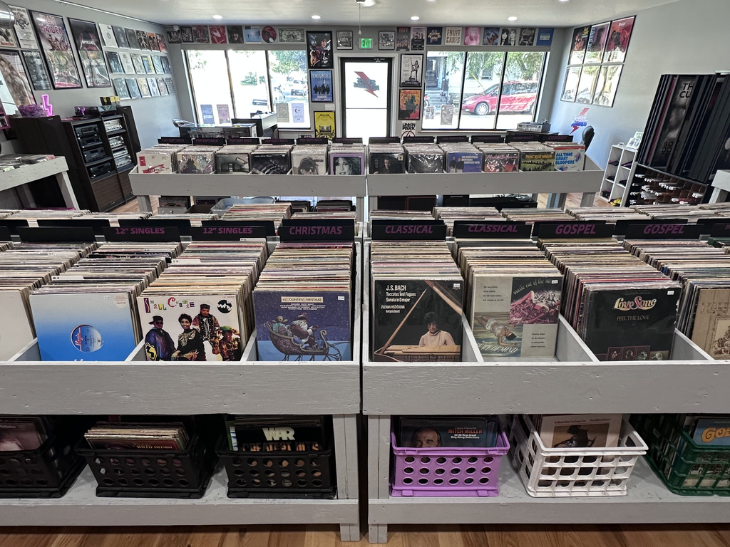 Record bins at Siples Records