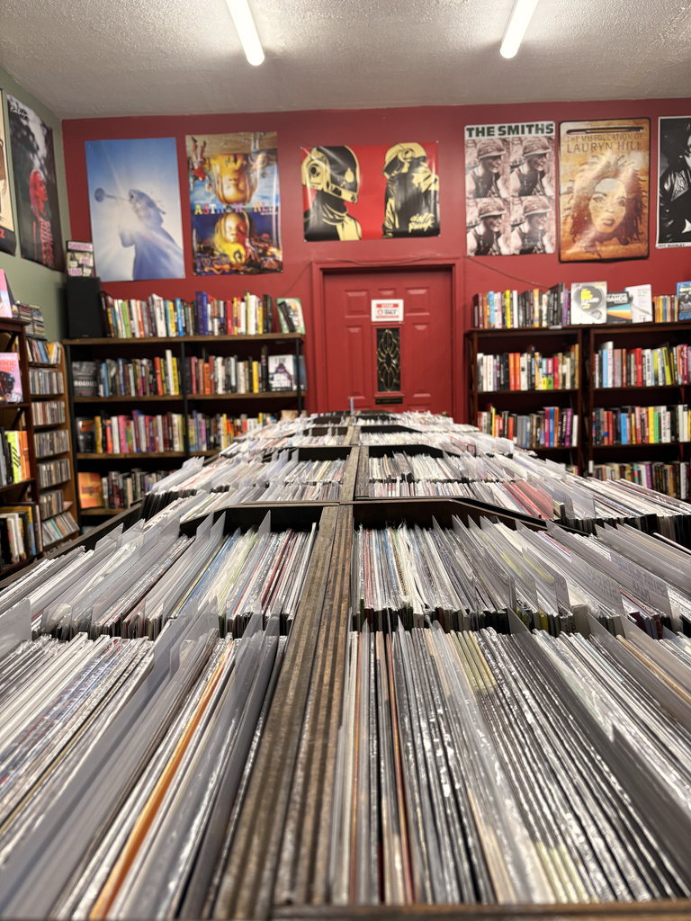 Spacious record bins at Sterling Records
